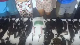 Capturan a miembros de "Los Pirañas de Valencia": así atacaban a sus víctimas para robarles el cabello 