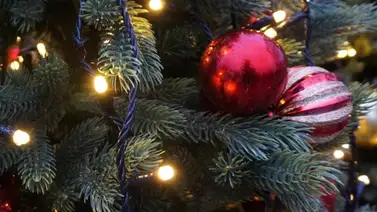 Guía de servicios en Laredo por Navidad: ¿Qué abrirá y cerrará en el Condado de Webb? Guía de servicios en Laredo por Navidad: ¿Qué abrirá y cerrará en el Condado de Webb?