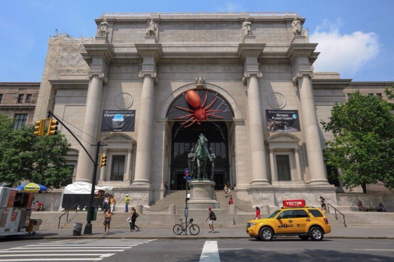 Este museo descubre 70 nuevas especies en 2025: hay una mosca conservada en ámbar