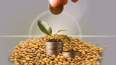 Lentejas en Año Nuevo Lentejas en Año Nuevo