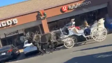 Video viral: carruaje navideño choca contra un auto y provoca aparatoso accidente en Texas Video viral: carruaje navideño choca contra un auto y provoca aparatoso accidente en Texas