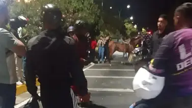 Dos mujeres heridas de gravedad tras chocar vehículo contra un caballo en Maracay Dos mujeres heridas de gravedad tras chocar vehículo contra un caballo en Maracay