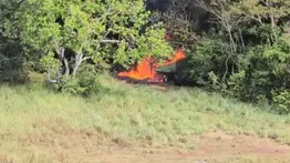 La FANB localiza pista clandestina y destruye aeronave vinculada a grupos Tancol