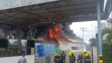 Reportan incendio en camaronera del Zulia este 30 de diciembre: graves daños en la infraestructura Reportan incendio en camaronera del Zulia este 30 de diciembre: graves daños en la infraestructura