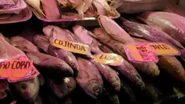 2001online - Caracas- sancocho